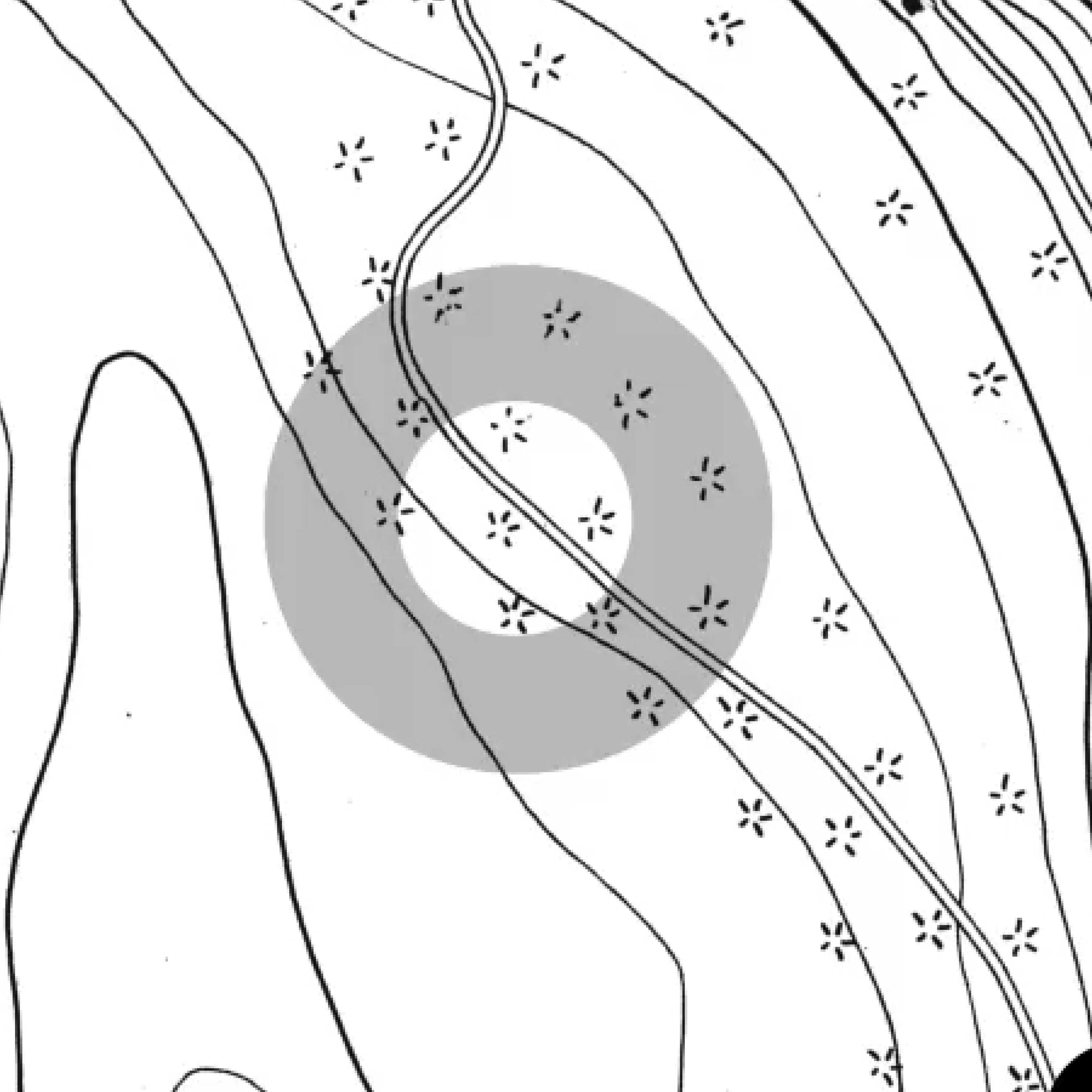 Future Observatory Research | Future Observatory