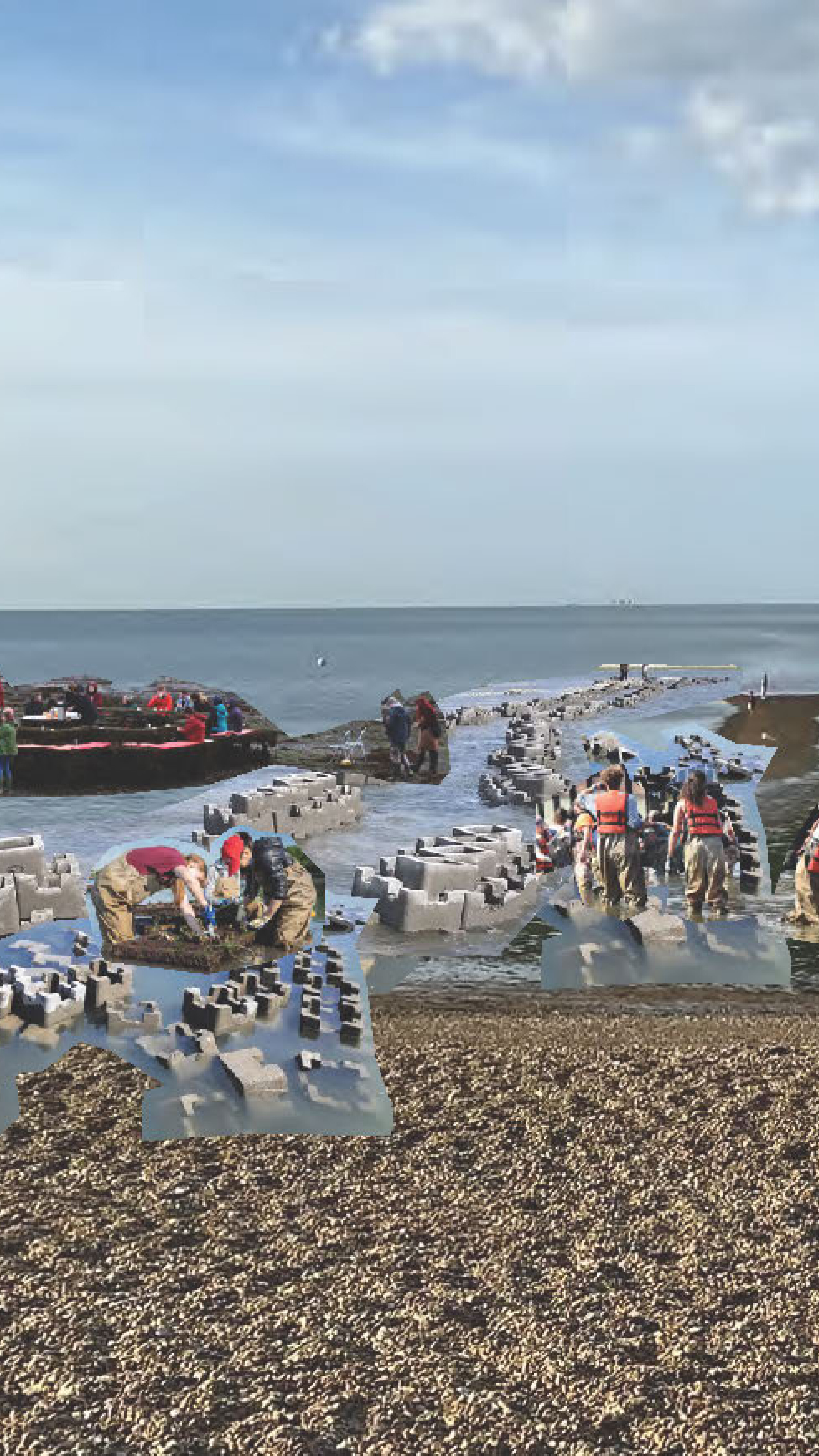 Oysters to Filter © Julia King