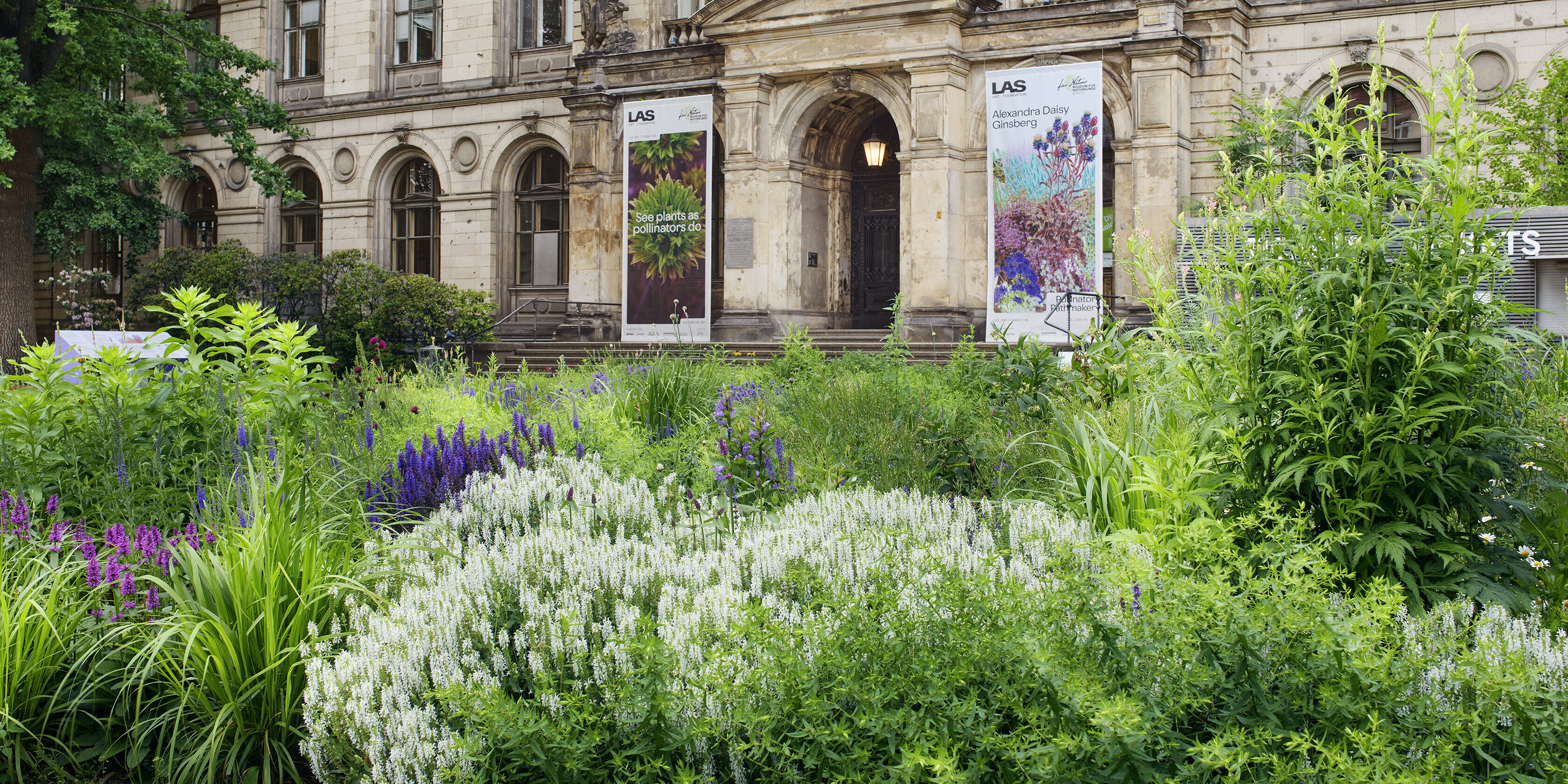 Pollinator Pathmaker | Future Observatory