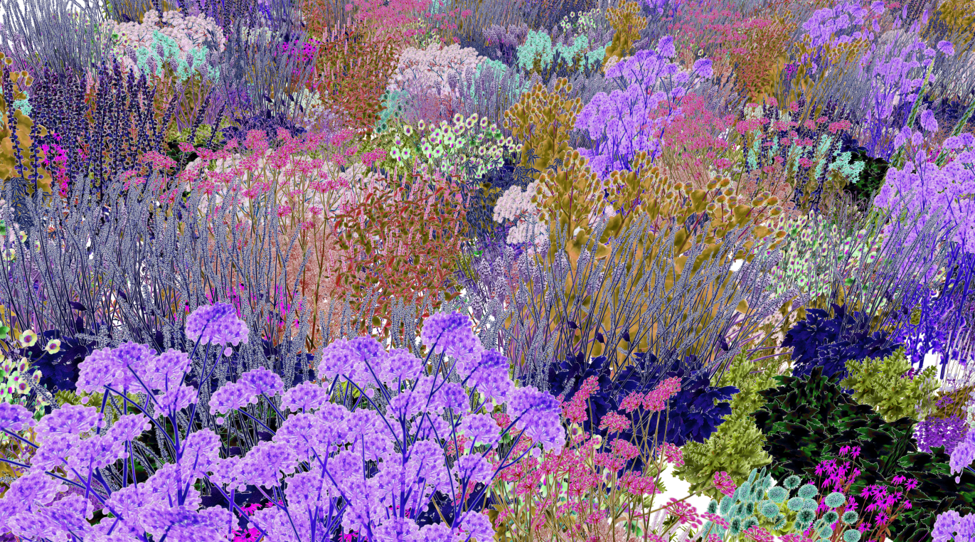 Pollinator Pathmaker | Future Observatory