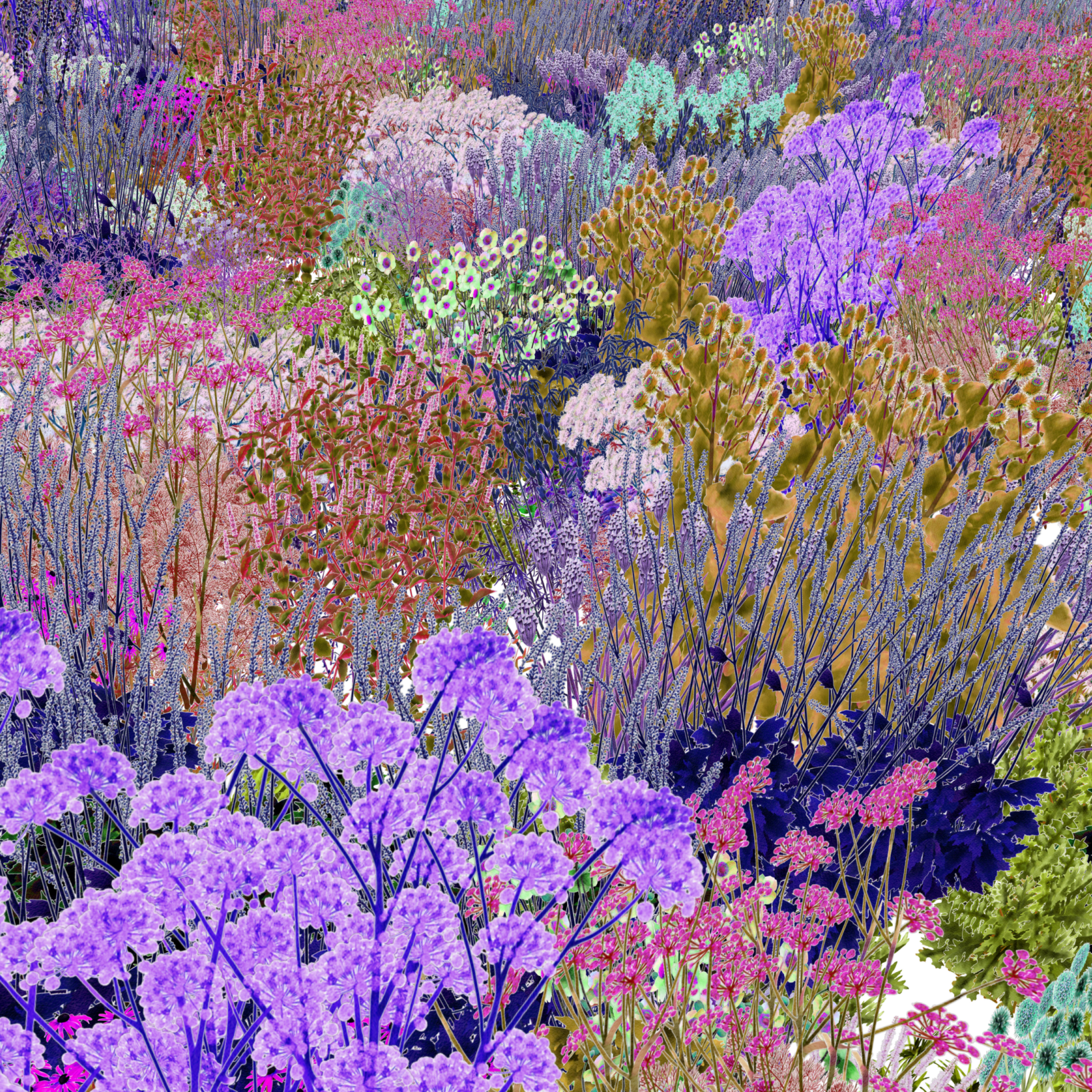 Pollinator Pathmaker | Future Observatory