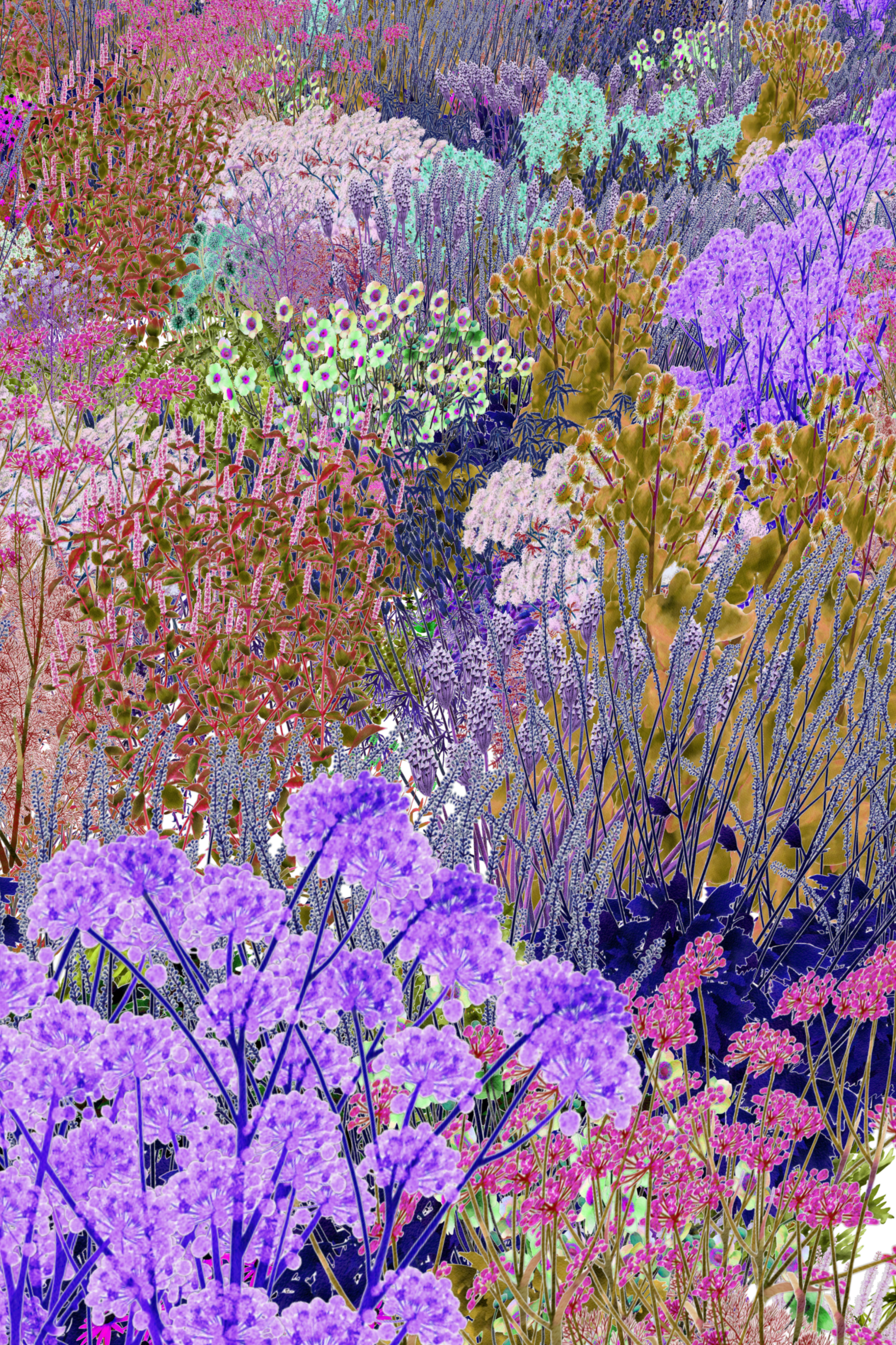 Pollinator Pathmaker | Future Observatory